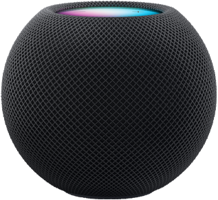 HomePod Mini space gray